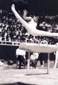 1982年全国体操分区赛杭州赛区