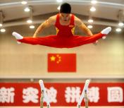 中国男子体操队队内选拔赛