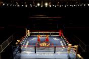 2015“拳力联盟”第一轮比赛   将于上海梅赛德斯奔驰文化中心进行