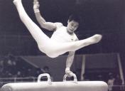 1983年春合杯体操赛李宁获鞍马冠军