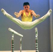 2000年“李宁杯”中国体操单项争霸赛