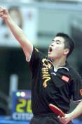 中国男子乒乓球队夺得第46届世乒赛男团冠军