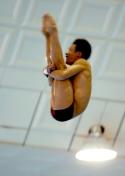 田亮、徐翔夺得亚运会跳水男子十米跳台金、银牌