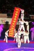 2007年北京世界跆拳道锦标赛开幕