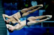 跳水世界杯：林跃/火亮男子双人10米台称王