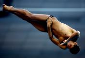 跳水世界杯男子10米台预赛