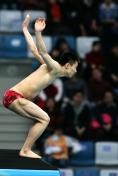 跳水世界杯男子10米跳台半决赛