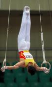 2008国际体联体操世界杯男女单项资格赛赛况