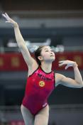 十一运会体操预选赛 何宁夺女子全能金牌
