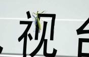 全运会射击场花絮