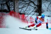 索契冬奥会高山滑雪男子大回转 美国选手夺冠