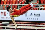 2014年全国体操锦标赛男子资格赛赛况