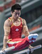 2014年全国体操锦标赛男子双杠 尤浩邓书弟并列第一