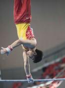 2014年全国体操锦标赛男子单杠 贵州队包揽前两名