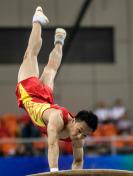 2014年全国体操锦标赛男子跳马 黄明淇屈瑞阳并列第一