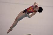 中国跳水队奥运会暨世界杯选拔赛次日赛况